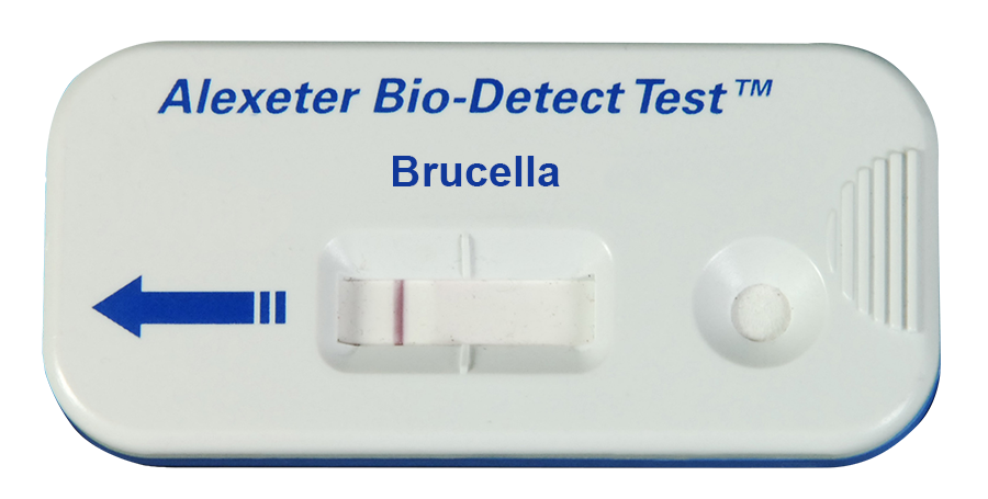 Brucella Toxin Kit (25/box) — P/N 1670-0005